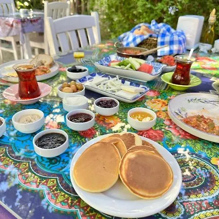 بيت ضيافة Kavalali ألاتشاتي