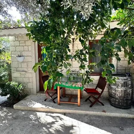 بيت ضيافة Kavalali ألاتشاتي